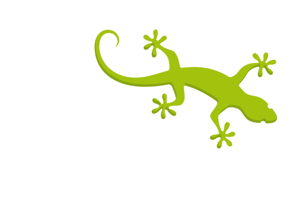 E-liza Παραγγελιοληψία